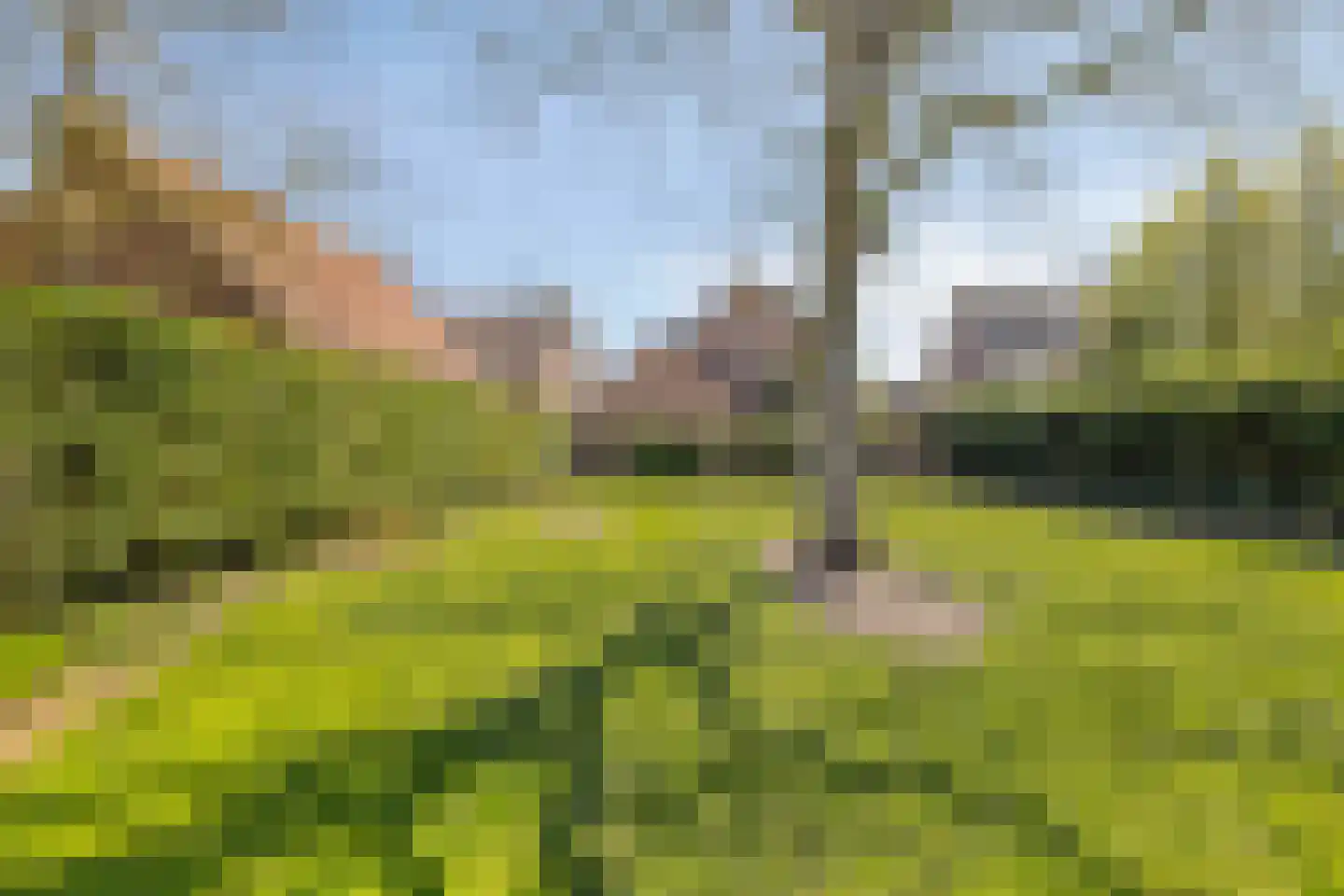 Achtmaalseweg 161 Achtmaal thumbnail 48