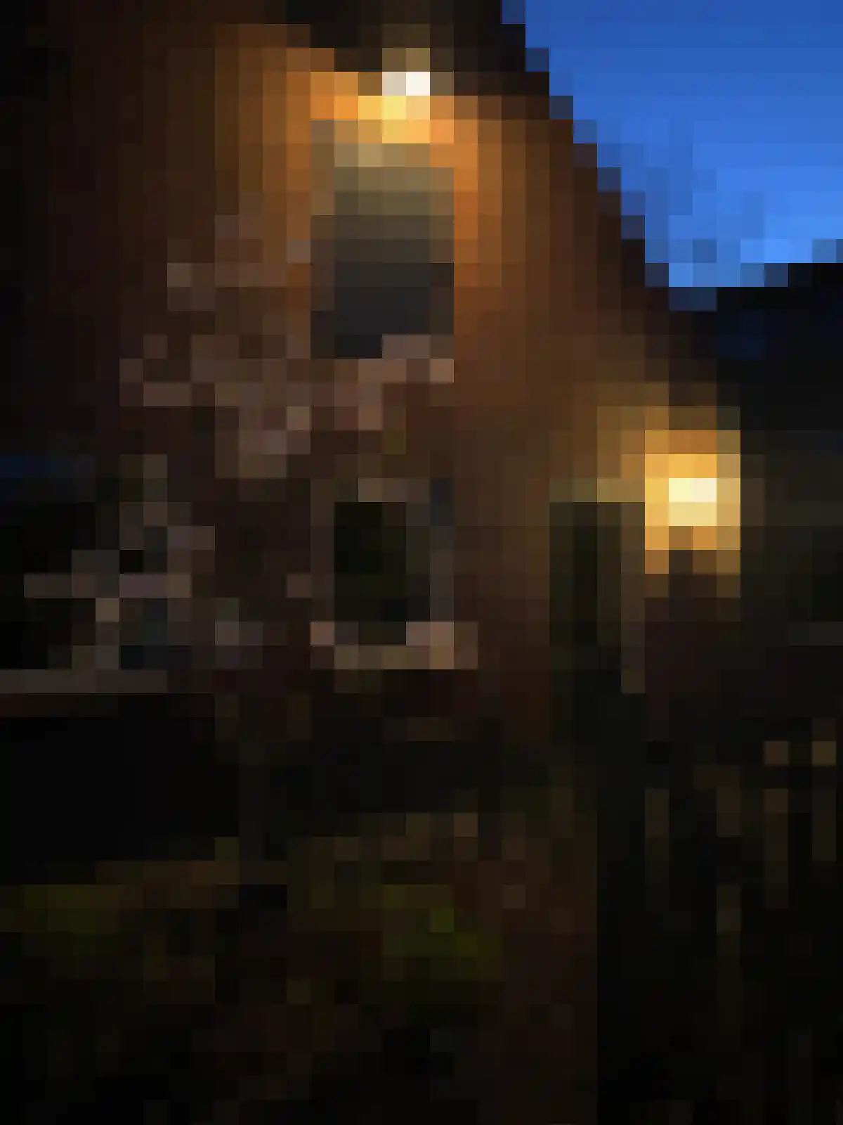 Achtmaalseweg 161 Achtmaal thumbnail 64