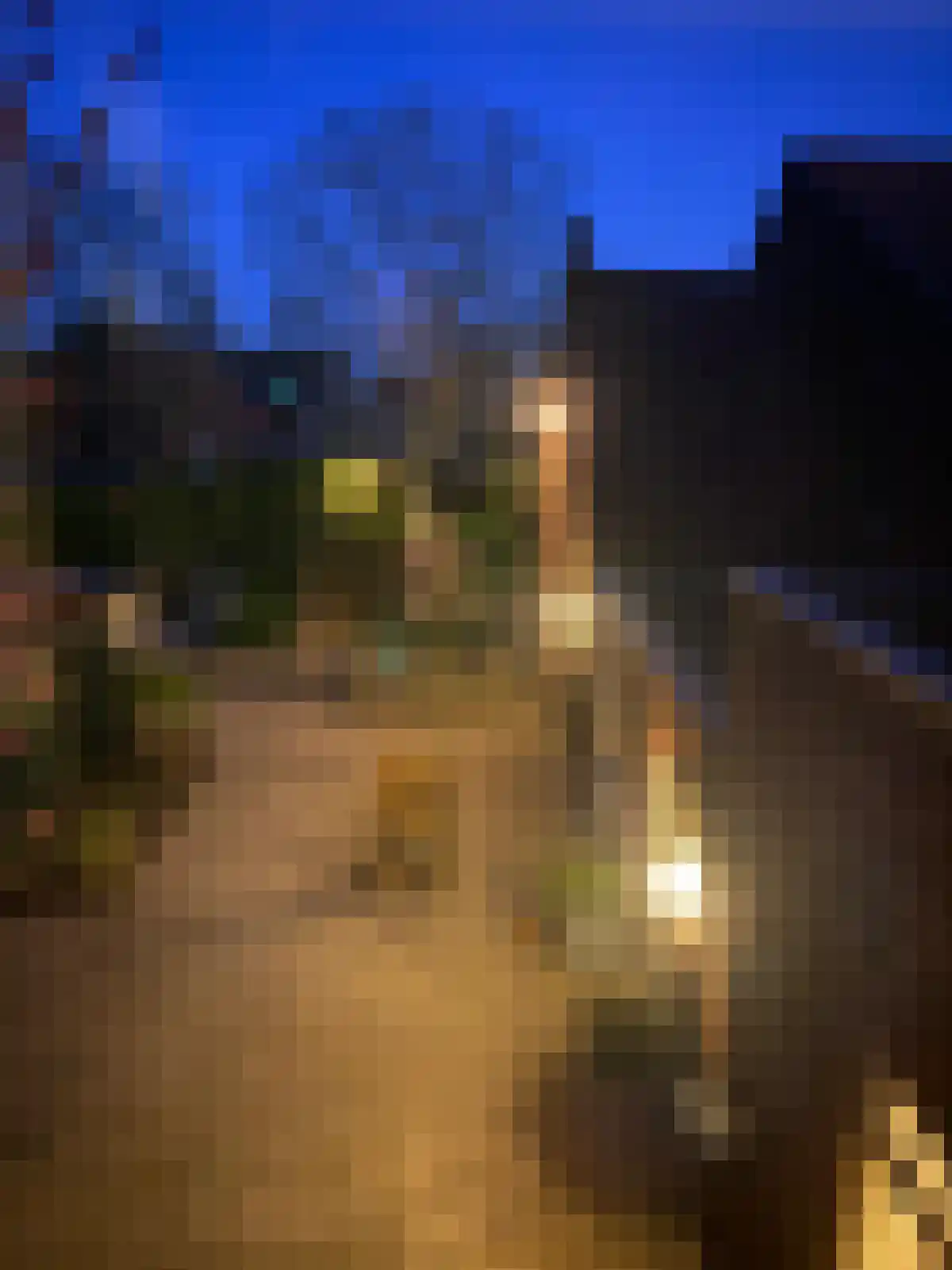 Achtmaalseweg 161 Achtmaal thumbnail 65