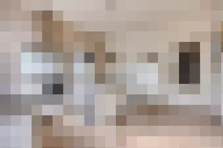 Achtmaalseweg 37 Zundert thumbnail 14