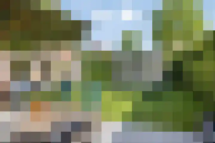 Achtmaalseweg 37 Zundert thumbnail 33