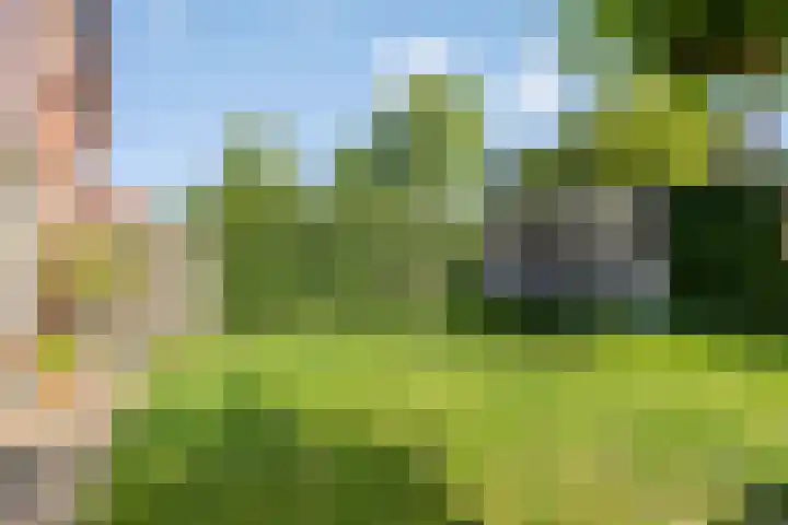 Achtmaalseweg 37 Zundert thumbnail 35