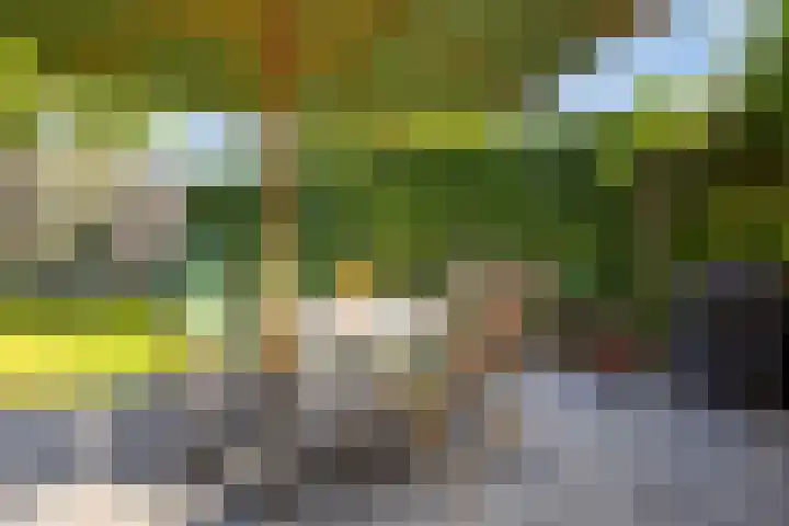 Achtmaalseweg 37 Zundert thumbnail 36