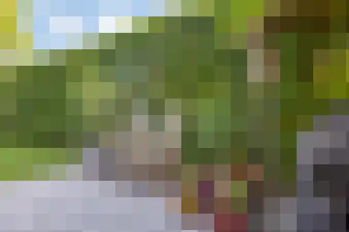 Achtmaalseweg 37 Zundert thumbnail 37