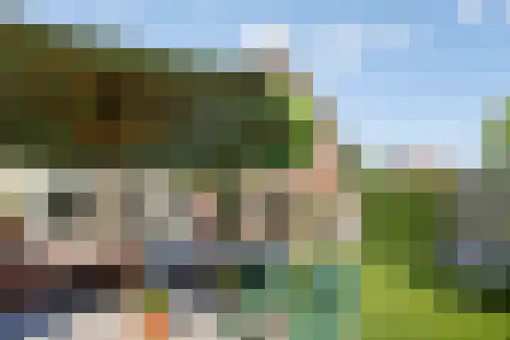 Achtmaalseweg 37 Zundert thumbnail 39