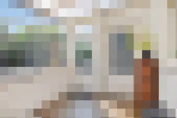 Achtmaalseweg 37 Zundert thumbnail 4
