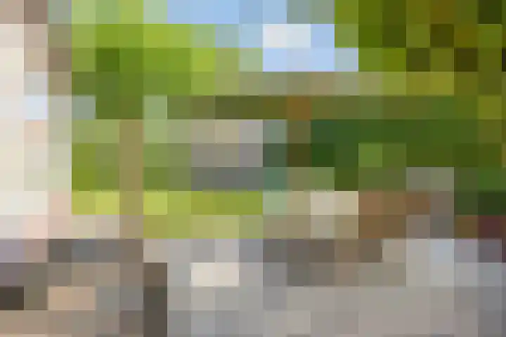 Achtmaalseweg 37 Zundert thumbnail 6