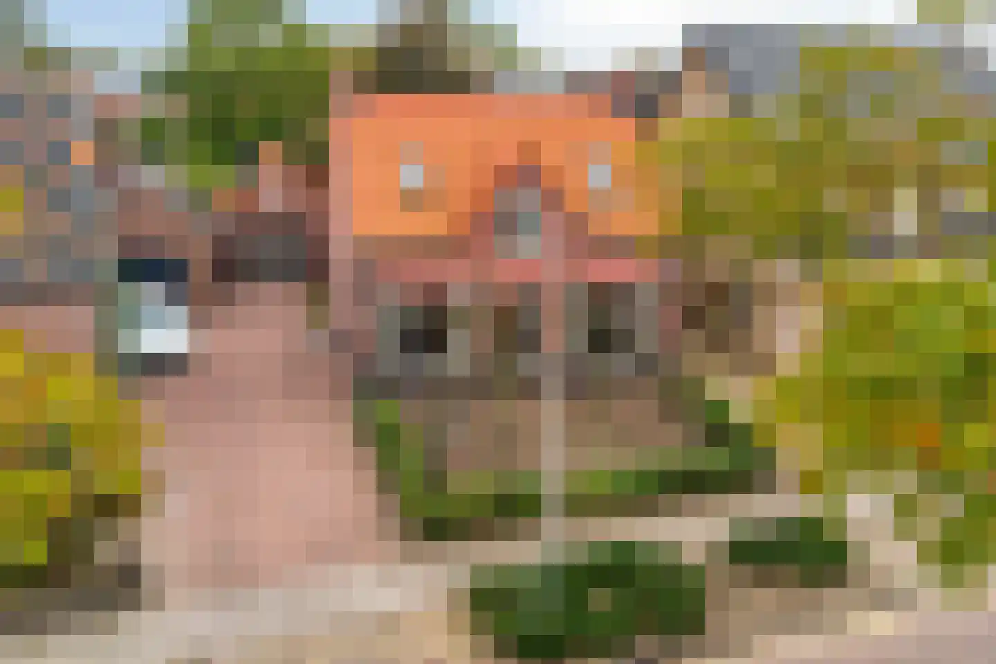 Achtmaalseweg 51 Zundert thumbnail 41