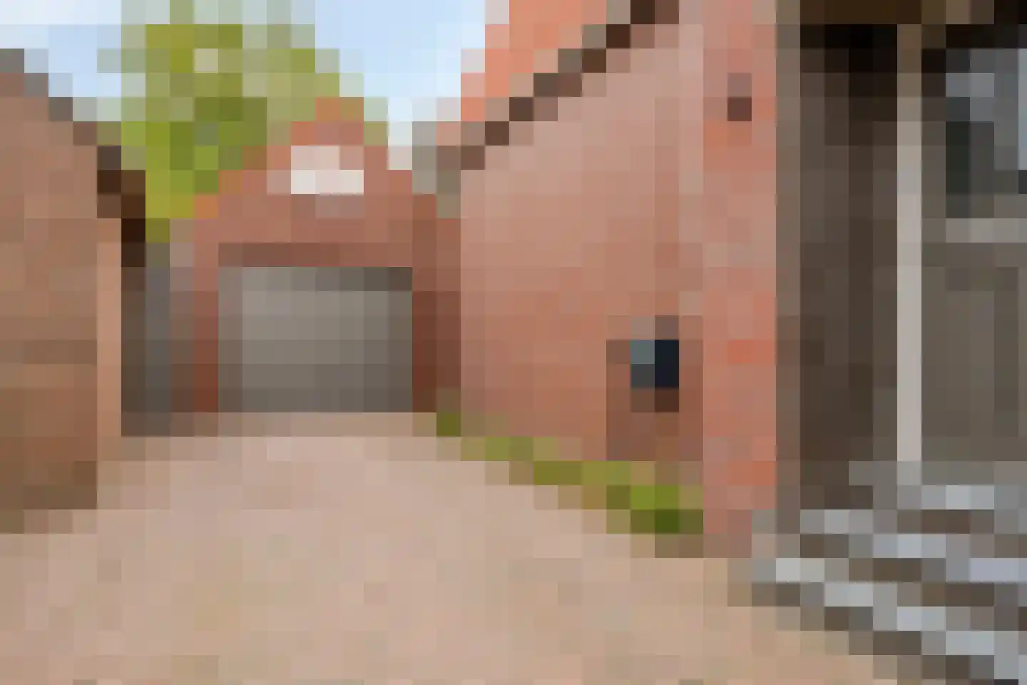 Achtmaalseweg 51 Zundert thumbnail 8