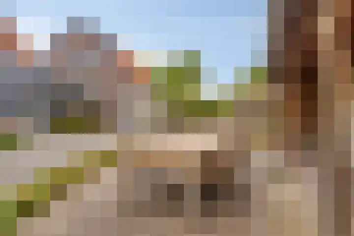 Achtmaalseweg 54 Zundert thumbnail 30