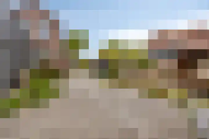 Achtmaalseweg 54 Zundert thumbnail 31