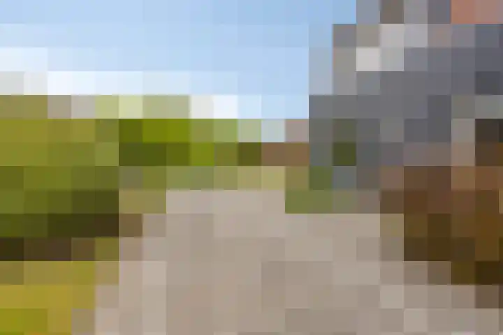 Achtmaalseweg 54 Zundert thumbnail 32