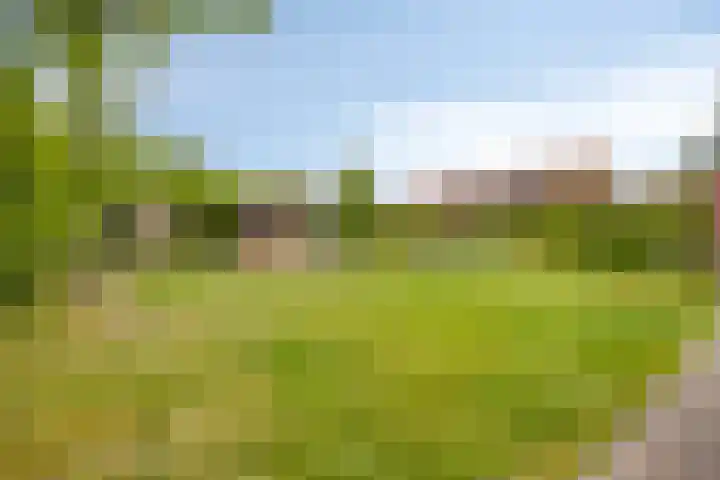 Achtmaalseweg 54 Zundert thumbnail 34