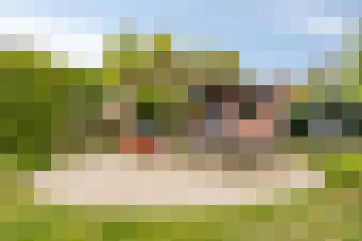 Achtmaalseweg 54 Zundert thumbnail 35