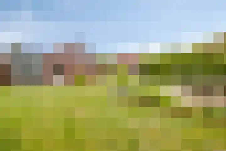Achtmaalseweg 54 Zundert thumbnail 36