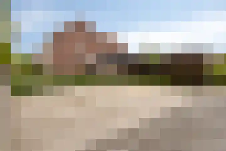 Achtmaalseweg 54 Zundert thumbnail 38