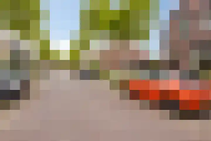 Achtmaalseweg 54 Zundert thumbnail 39