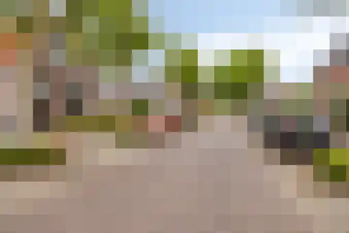 Achtmaalseweg 54 Zundert thumbnail 40