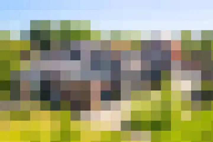 Achtmaalseweg 54 Zundert thumbnail 43