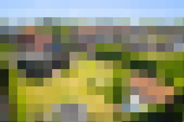 Achtmaalseweg 54 Zundert thumbnail 44