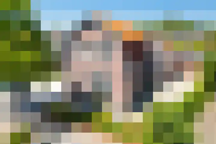 Achtmaalseweg 54 Zundert thumbnail 7