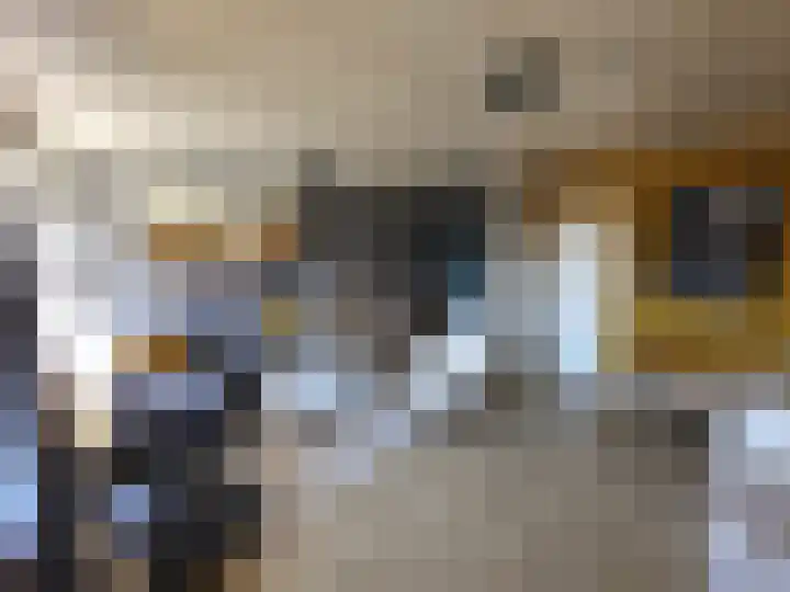 Achtmaalseweg 8 a Zundert thumbnail 11