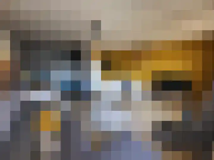 Achtmaalseweg 8 a Zundert thumbnail 12
