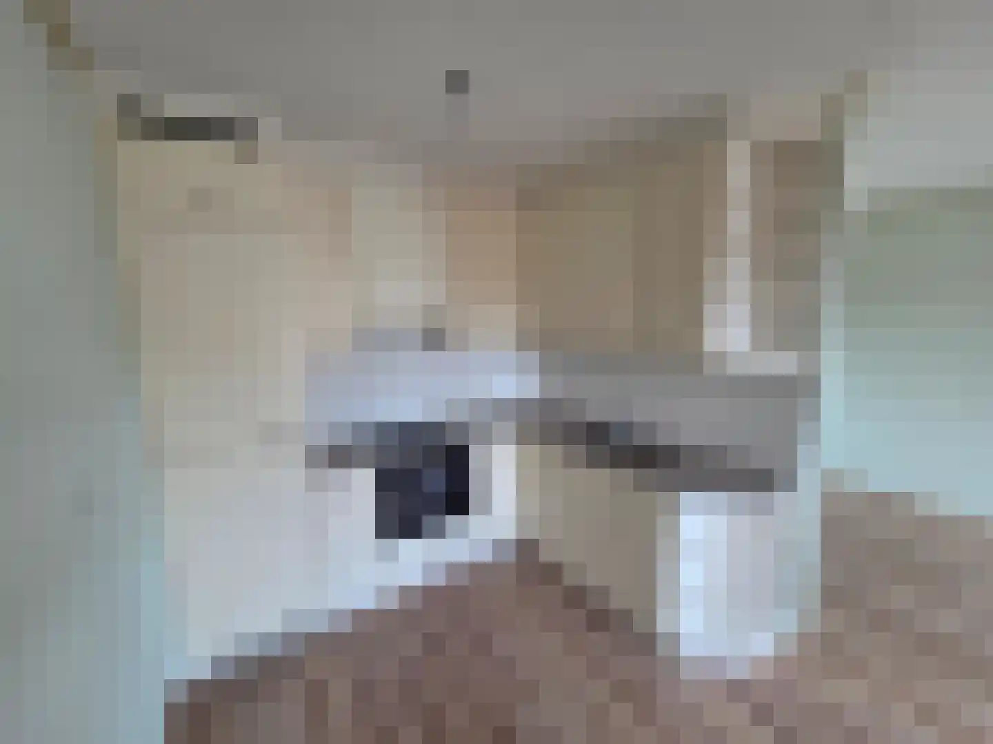 Achtmaalseweg 8 b Zundert thumbnail 14