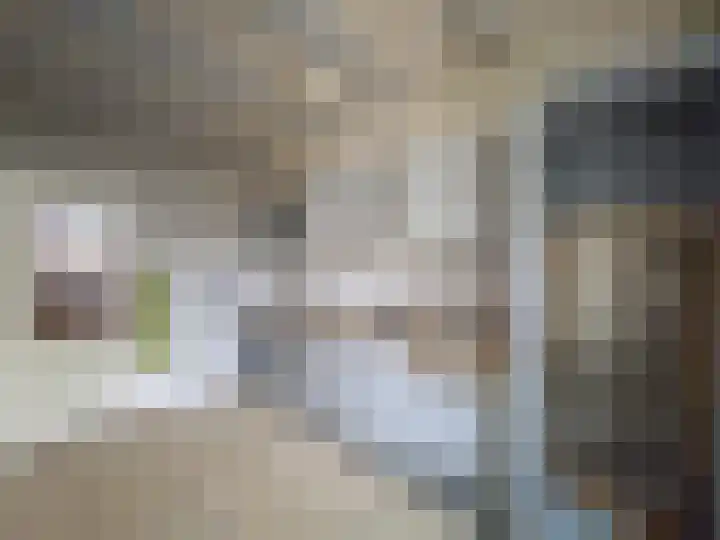 Achtmaalseweg 96 Zundert thumbnail 15