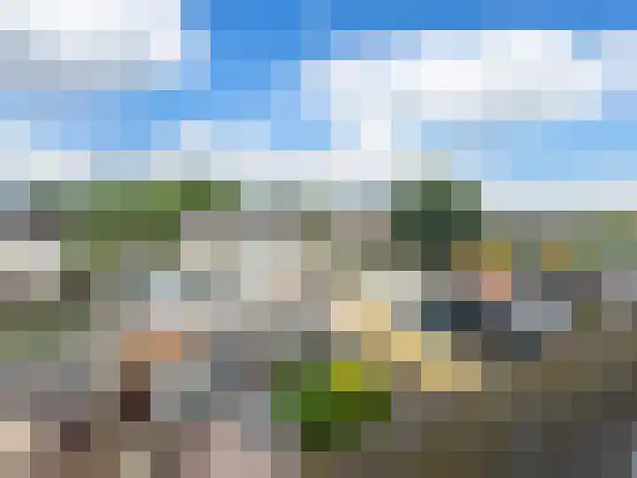 Achtmaalseweg 96 Zundert thumbnail 32