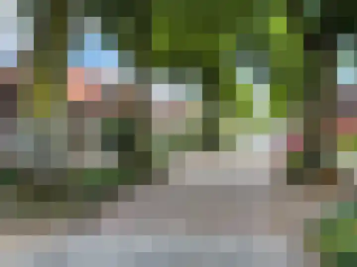 Achtmaalseweg 96 Zundert thumbnail 8