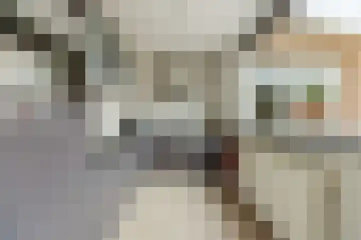 Achtmaalseweg 98 c Zundert thumbnail 16