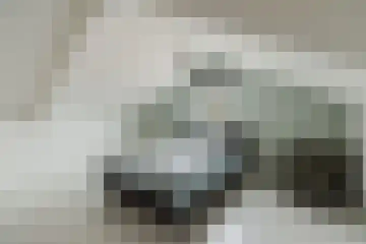 Achtmaalseweg 98 c Zundert thumbnail 35
