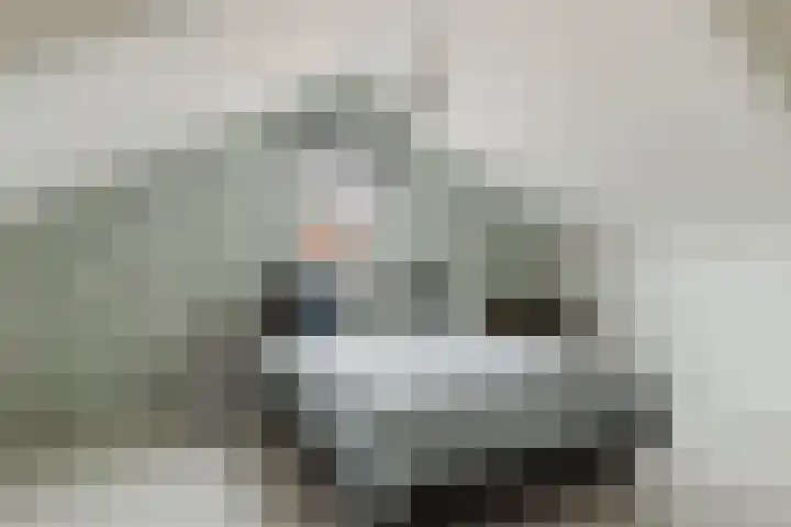 Achtmaalseweg 98 c Zundert thumbnail 36