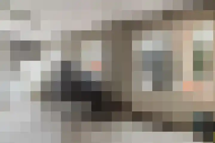 Achtmaalseweg 98 c Zundert thumbnail 40