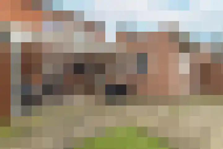 Achtmaalseweg 98 c Zundert thumbnail 42
