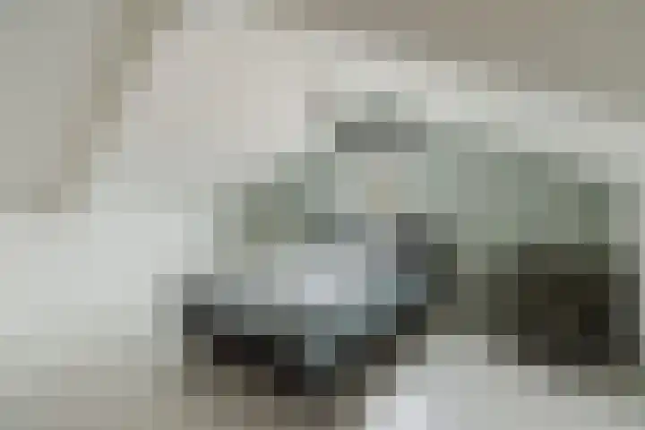 Achtmaalseweg 98 c Zundert thumbnail 5
