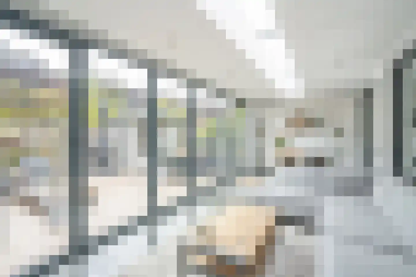 Achtmanstraat 17 Delfgauw thumbnail 11