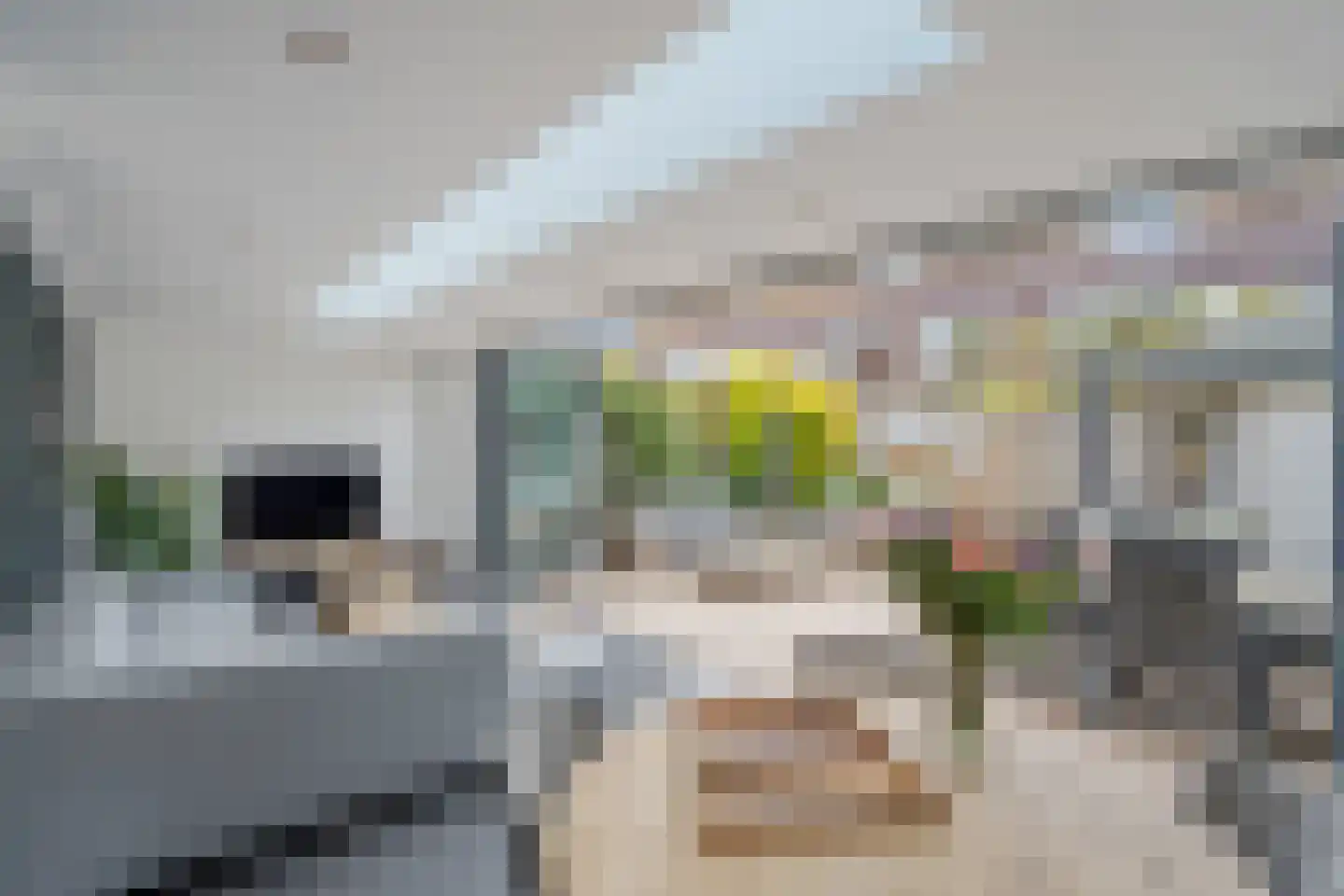 Achtmanstraat 17 Delfgauw thumbnail 23