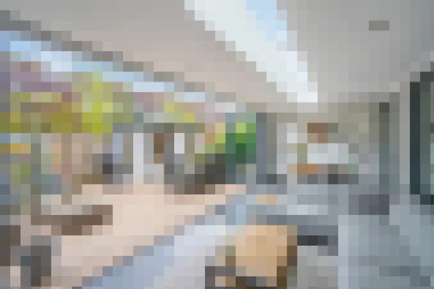 Achtmanstraat 17 Delfgauw thumbnail 25