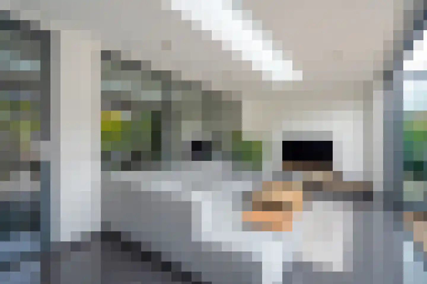 Achtmanstraat 17 Delfgauw thumbnail 27