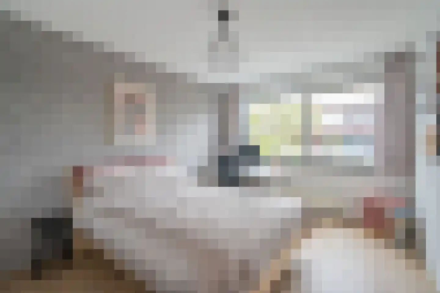 Achtmanstraat 17 Delfgauw thumbnail 30