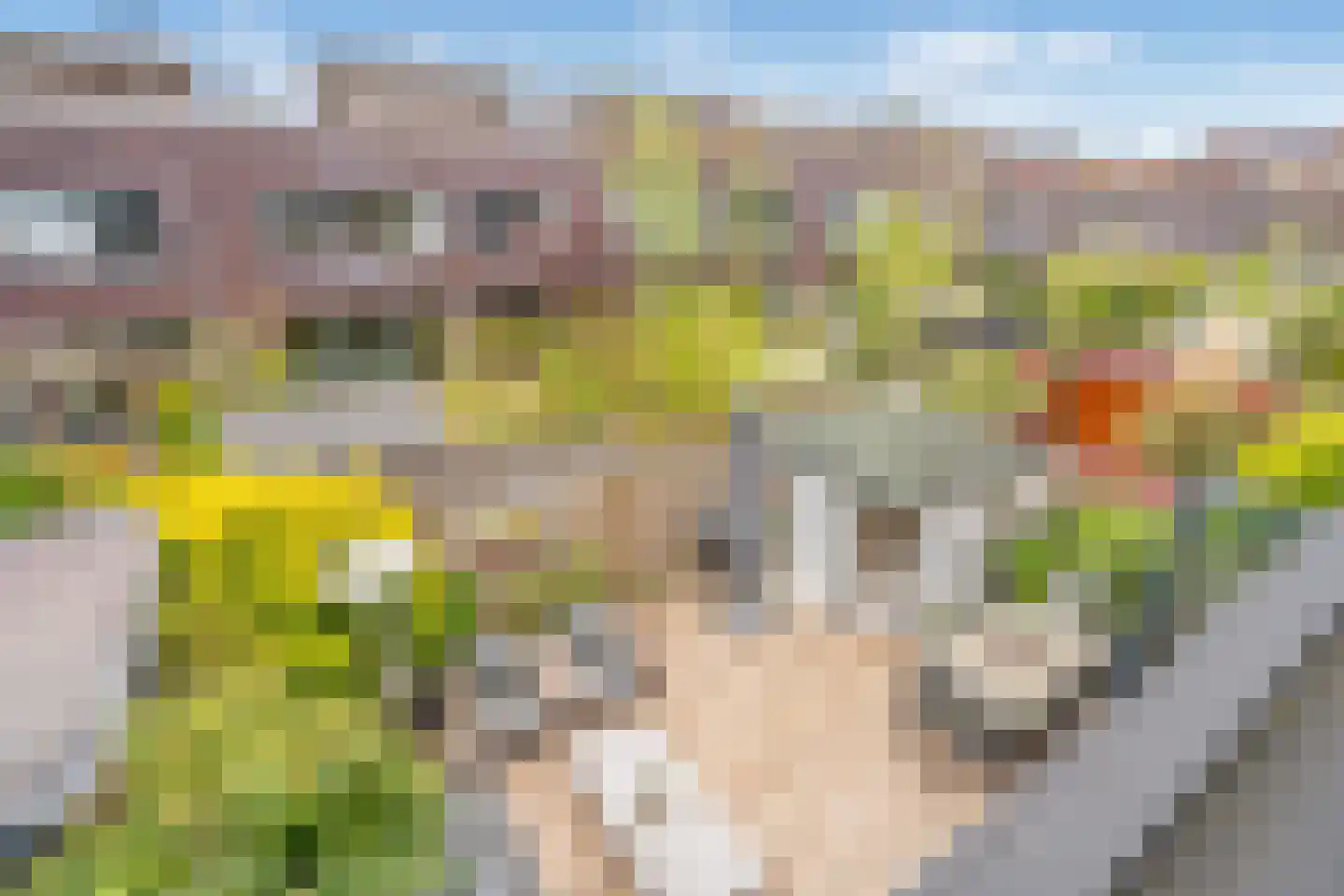 Achtmanstraat 17 Delfgauw thumbnail 36