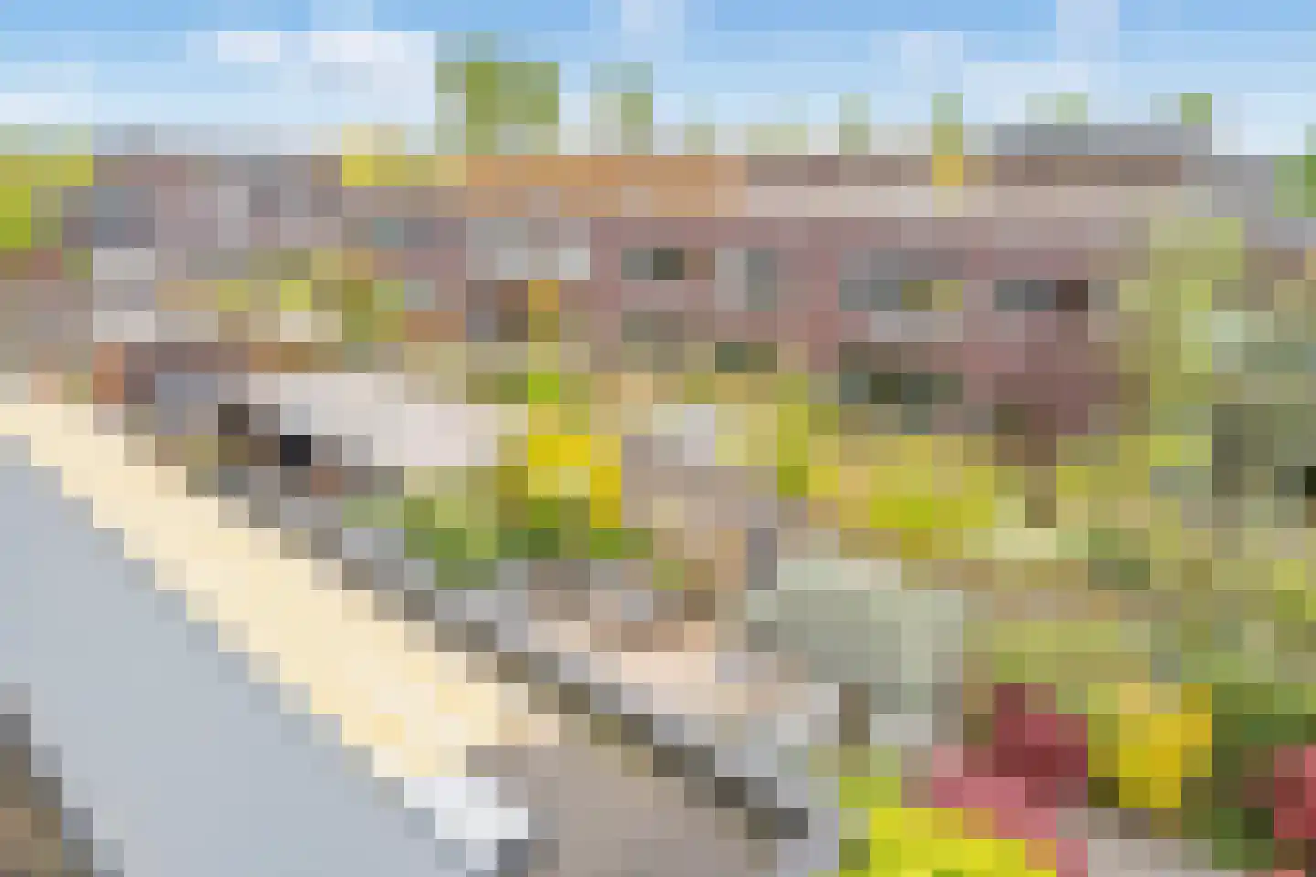 Achtmanstraat 17 Delfgauw thumbnail 37