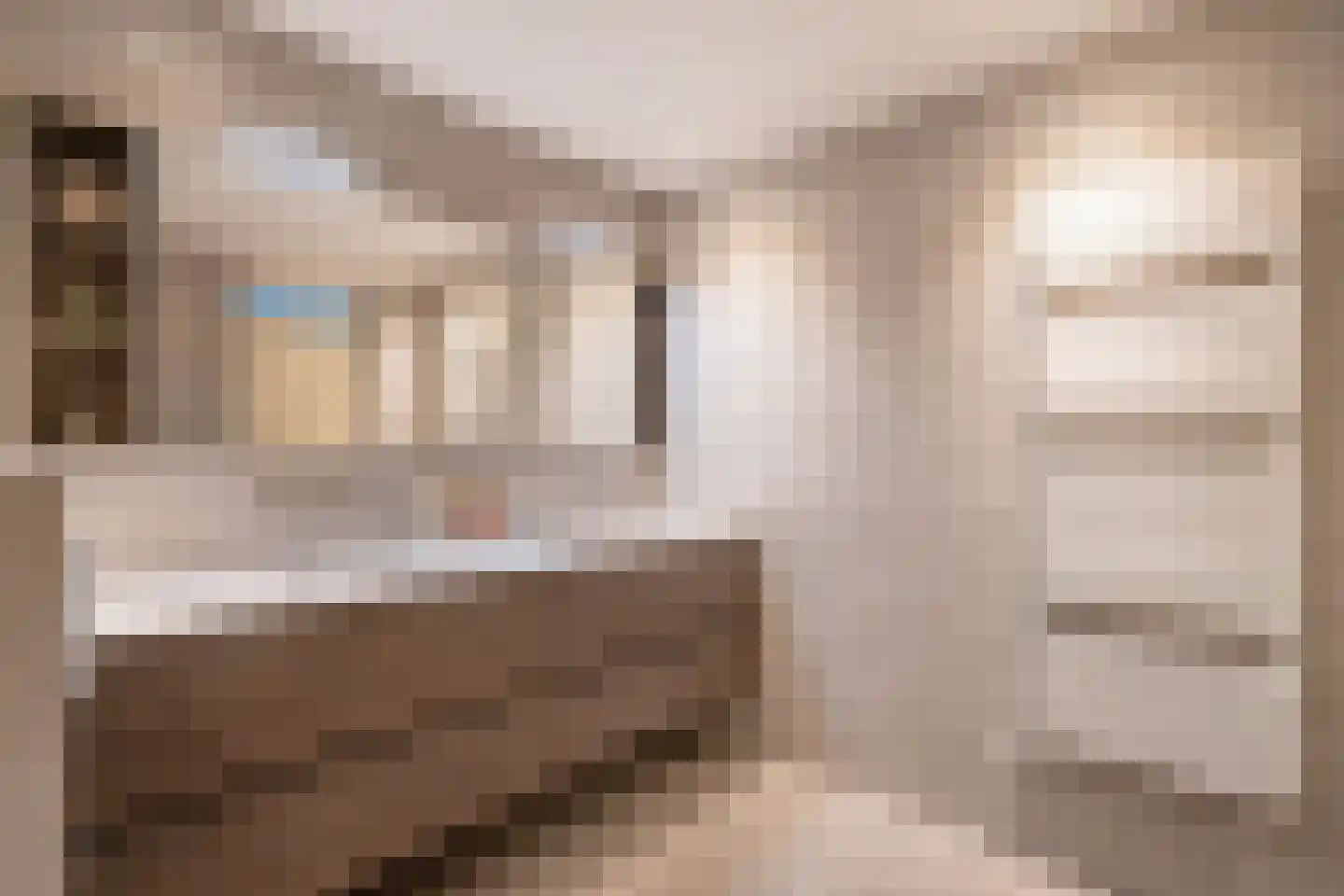 Achtmanstraat 17 Delfgauw thumbnail 41