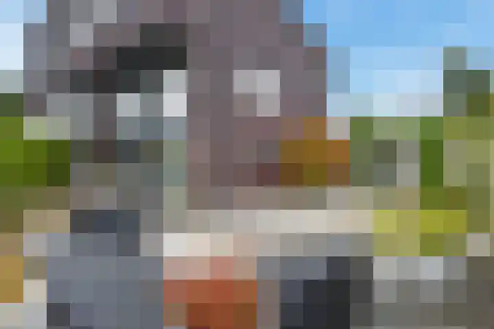 Achtmanstraat 6 Delfgauw thumbnail 12