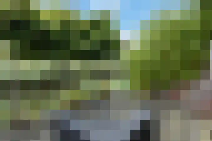 Achtmanstraat 6 Delfgauw thumbnail 17