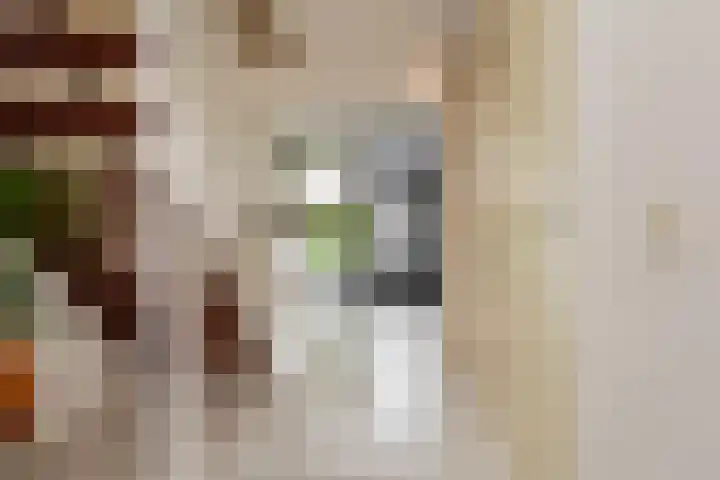 Achtmanstraat 6 Delfgauw thumbnail 18