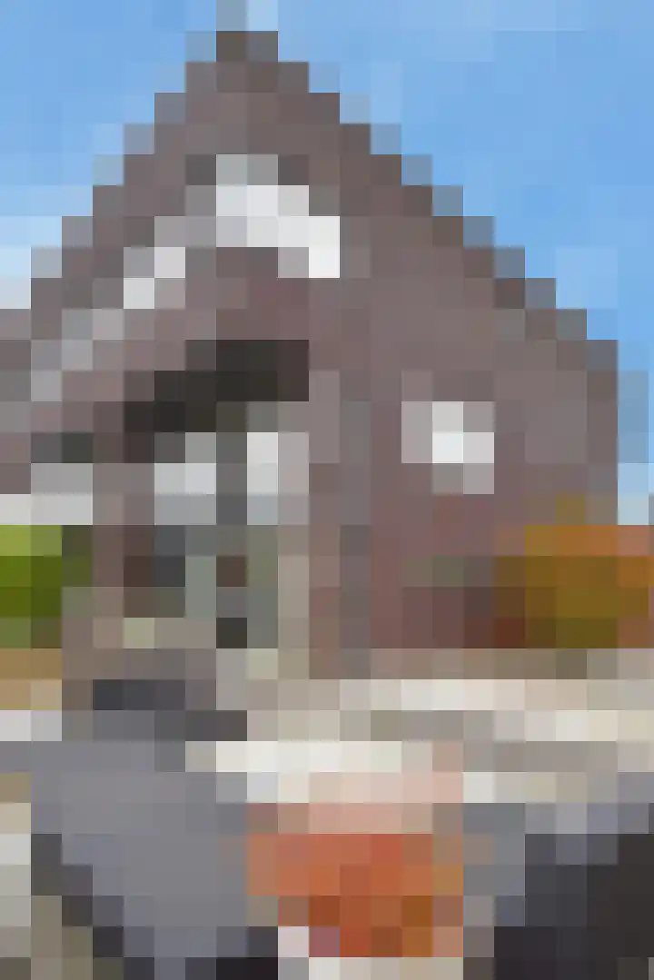 Achtmanstraat 6 Delfgauw thumbnail 30