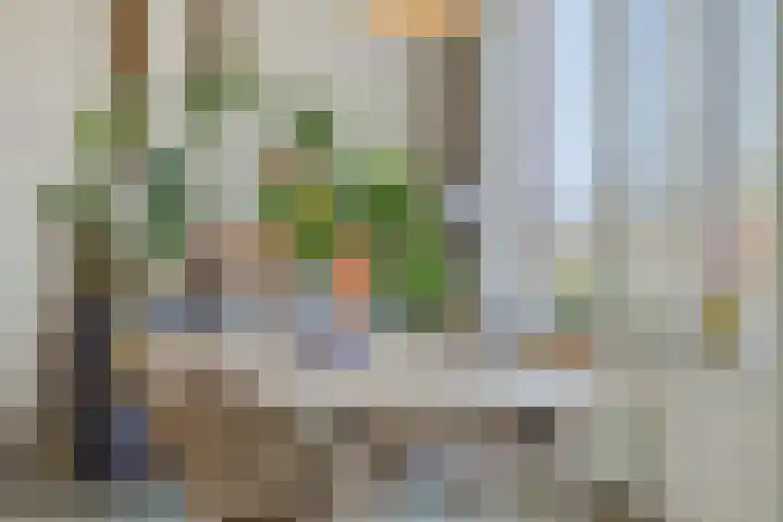 Achtste Donk 22 A 's-Hertogenbosch thumbnail 10